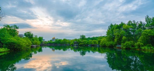 金牛座|10月底,情不老,天不荒,爱情如期而至,旧情人主动投入你怀抱