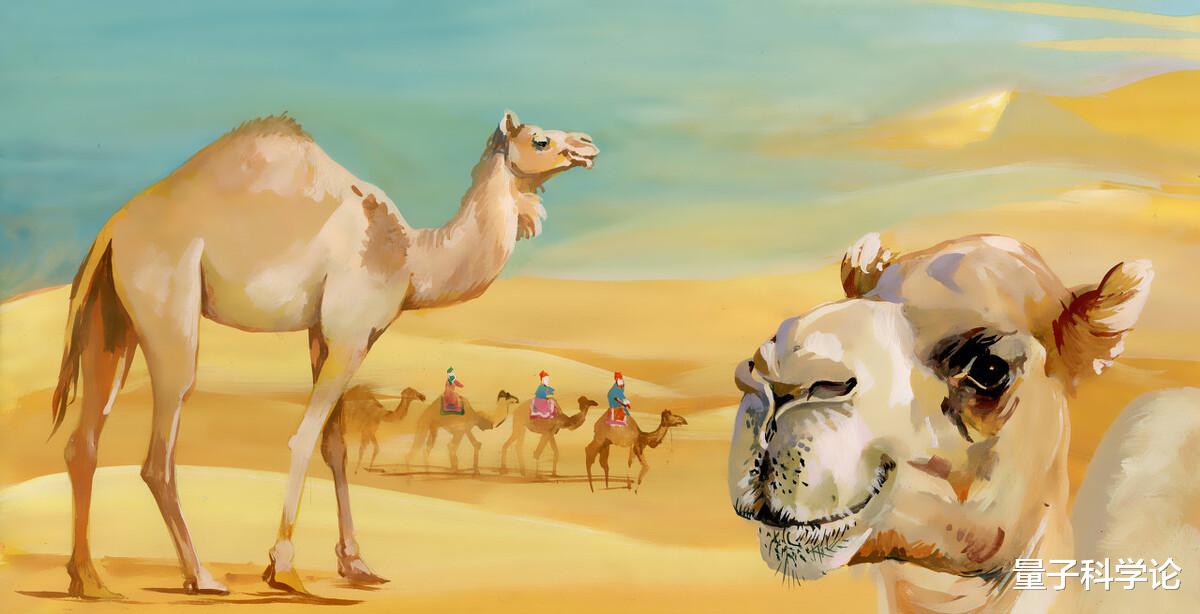 塞尼|你敢信！2000年前古人智商爆表，通过一个常见现象算出了地球周长