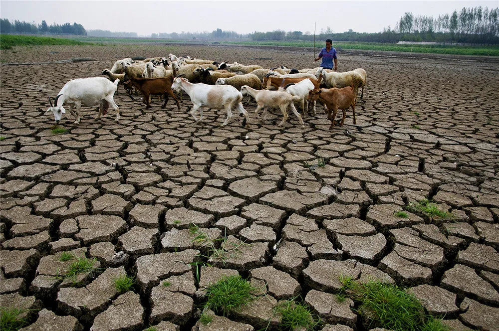 津门影像 津门网冯洪波：滍水向东