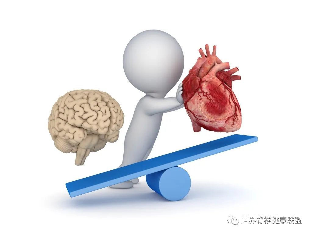 衰老|越睡越累？其实是你的\鸟\不够用了......