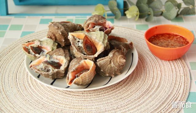 |海螺的尾巴是“黄”还是“屎”？不知道别乱吃，会被“笑话”的