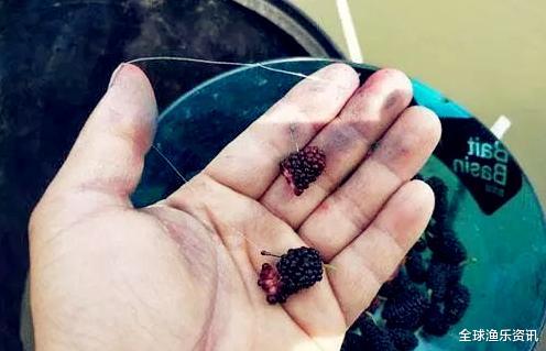 鲫鱼：十年野钓经验后才发现：一旦进入了夏季，这四种鲤鱼最感兴趣