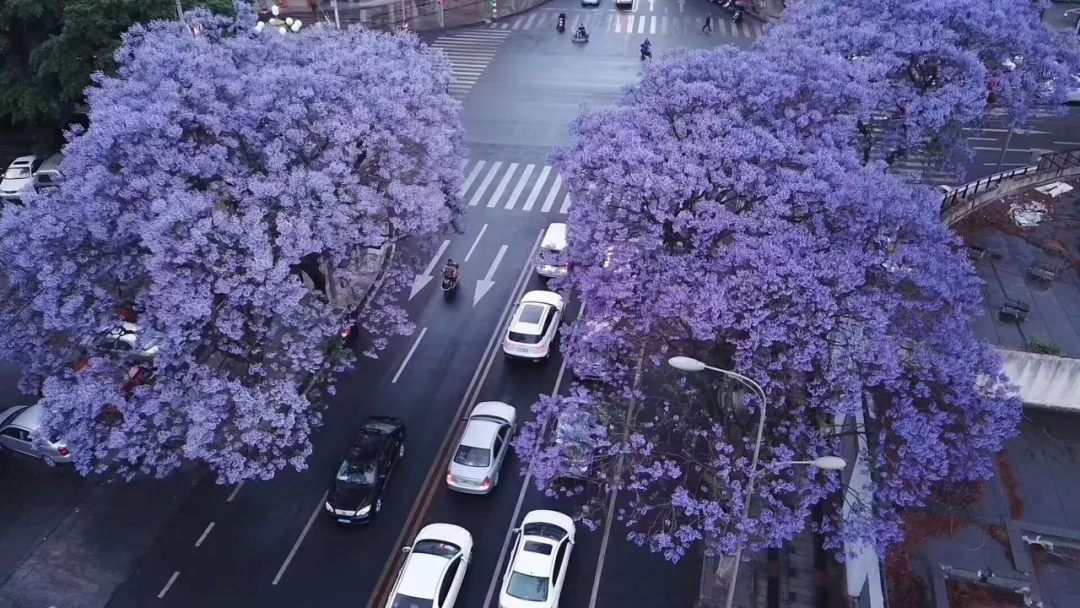 洛阳▲四月最佳旅行地|这9个地方玩转整个春天！