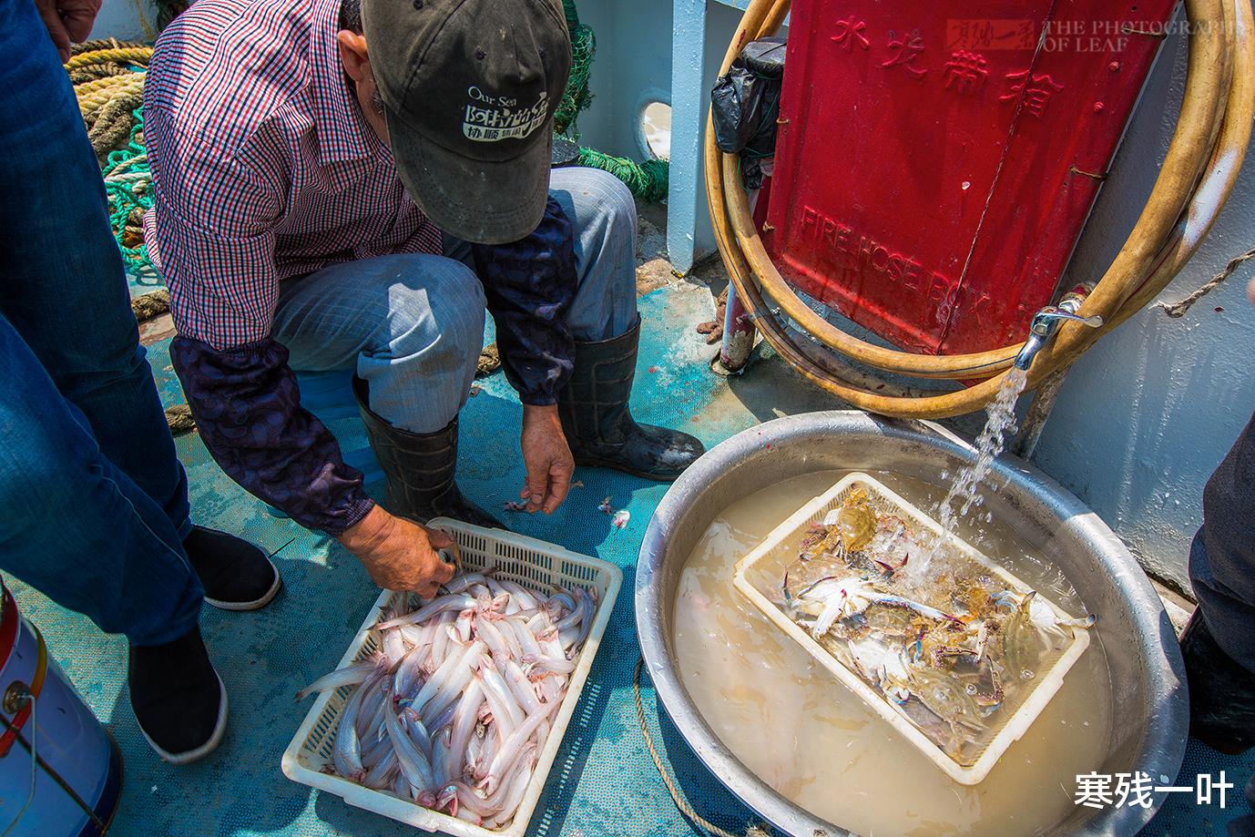 船员|4500元包船出海捕鱼，捞上来的海鲜烧了满满两大桌，你看看值吗？