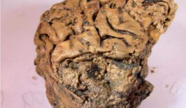 『蛋白质』沼泽地挖出2000年前头颅，没有丝毫腐烂，它怎么变成这样的？
