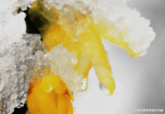 |7月份开始，4属相吉星高照，好运如期而至，正财转旺，收获喜人