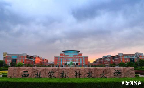 高校|衰落最严重的五所985高校，曾经实力非凡，如今让人唏嘘