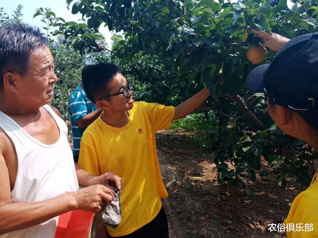 []2020年户籍新政策，4种情况可迁回农村，想回农村的别错过机会