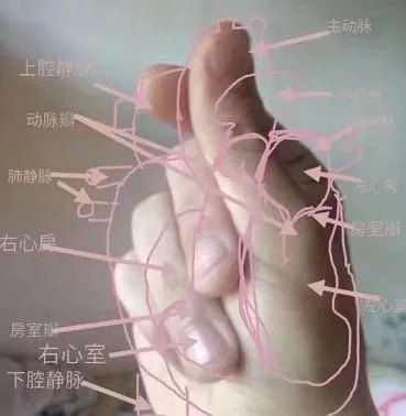 「法学」大学单身率特别高的专业有哪些？