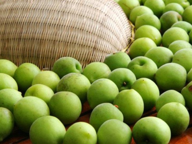 风油精@湿气的“冤家”发现了,女人平时尽量多吃,或健脾祛湿,预防妇科病