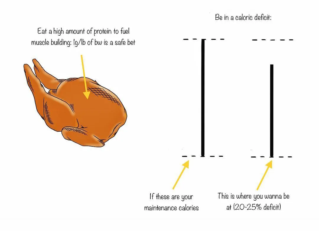 减脂|减这么久了，你怎么还是胖？