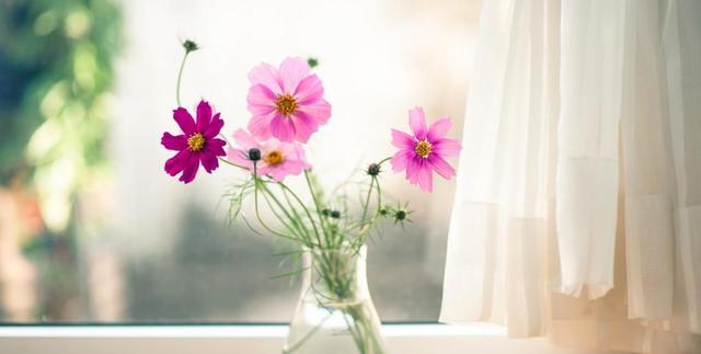 旧爱|8月中旬，财运滚滚，4生肖贵人指点，福来运来，生活质量水涨船高