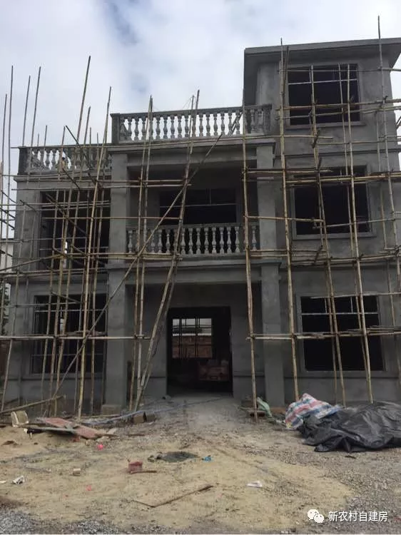 『』花了40多万给父母建别墅,却因外墙装修被嫌弃