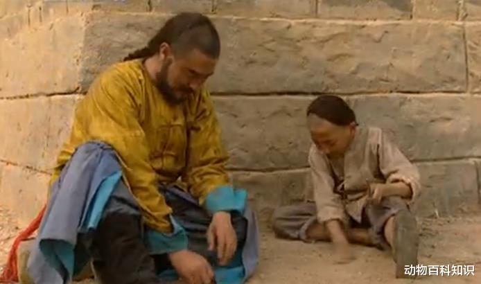 日军|雍正王朝：年羹尧临死前和小牧童下棋输了一枚铜钱代表着什么