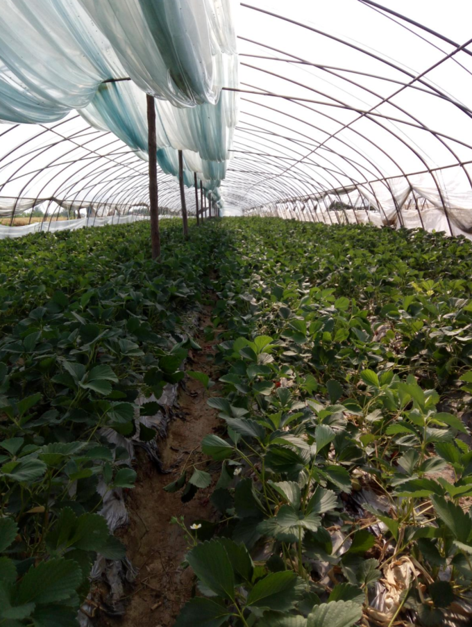 秦岭|秦岭扯袍峪森林公园攻略