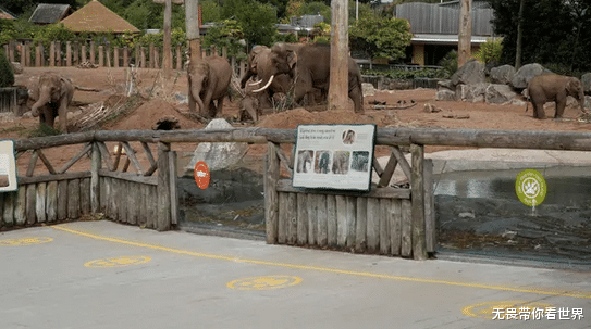 冠状病毒@截止6月7日凌晨5: 00，世界发生了什么？