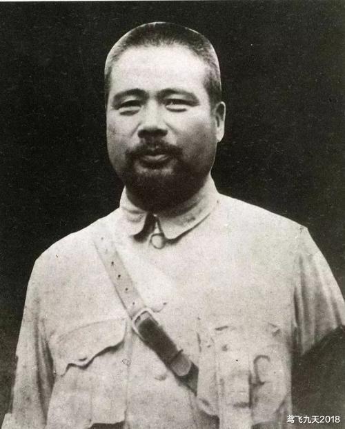 杨虎城|继冯玉祥之后,第2任西北军首领杨虎城,究竟有多少兵力?