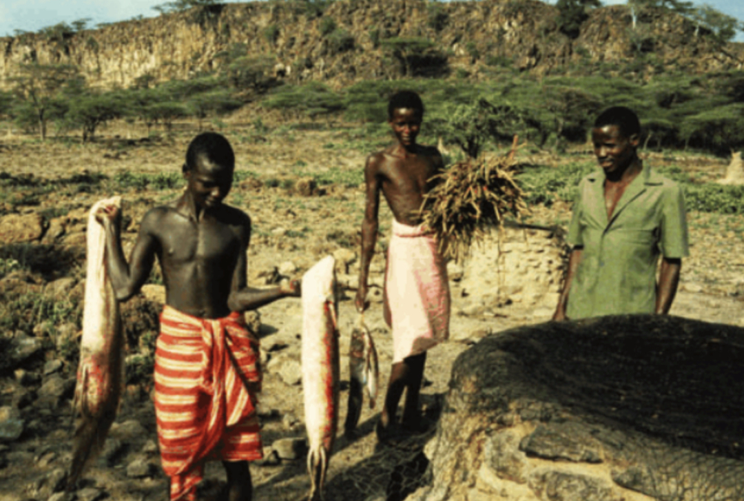 「火星」命最“硬”的鱼，在沙漠里挣扎了5万年，人类看不下去出手相助