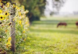 运势|总有几个星座苦难到头，一路飞升，迎接美好