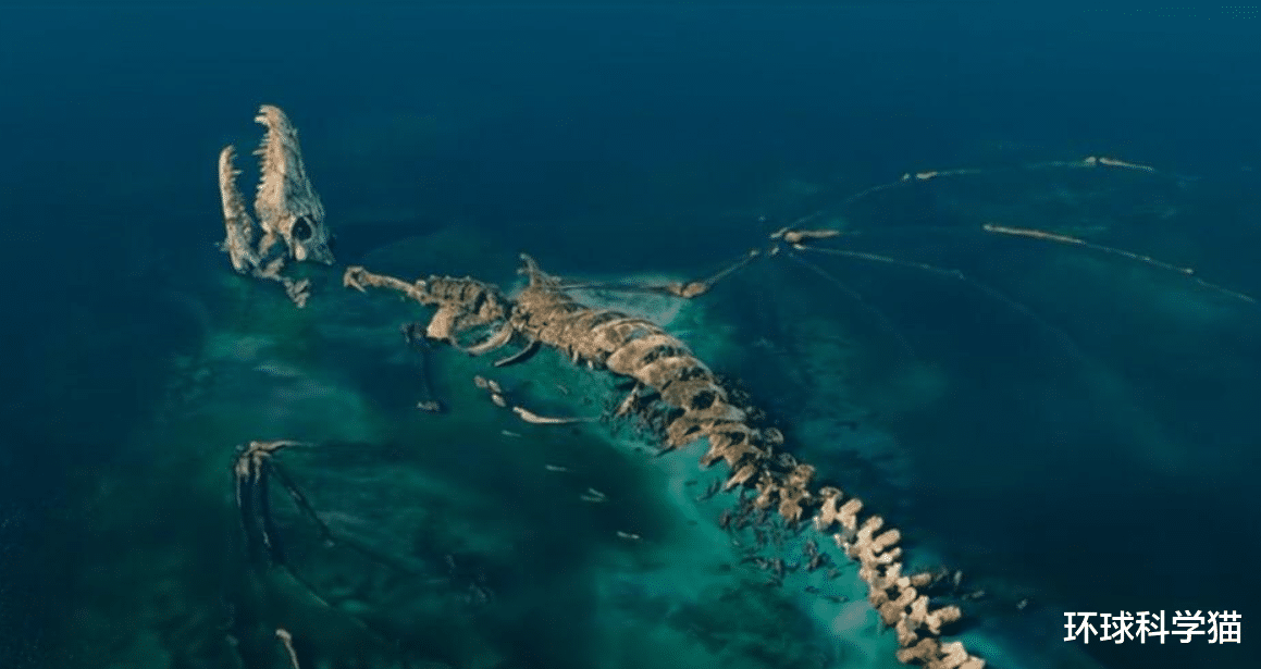 |营口坠龙是不是真的，龙会不会生活在海里只是我们没发现？