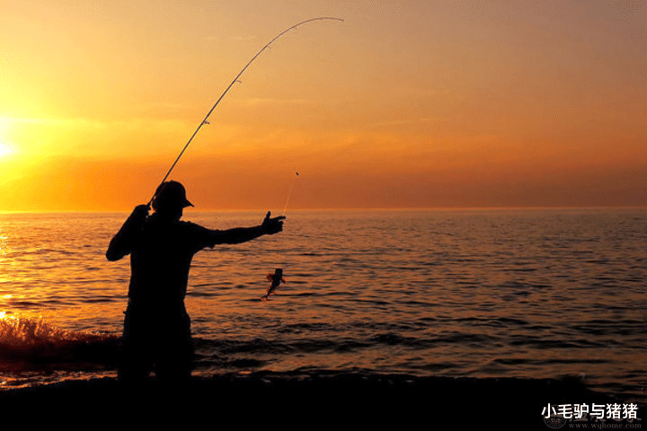 |新手钓鱼人,不想做“空军”,注意这几点!