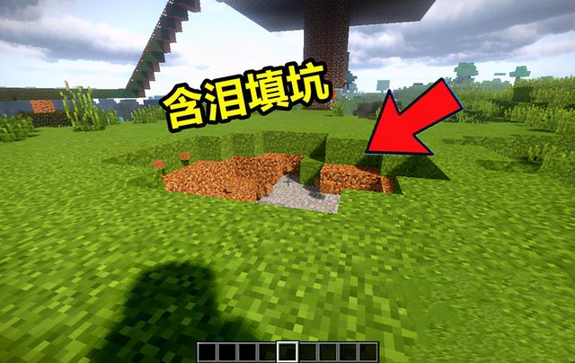 鬼畜|我的世界：7个“鬼畜”画面，据说是强迫症玩家都不能忍受的事情