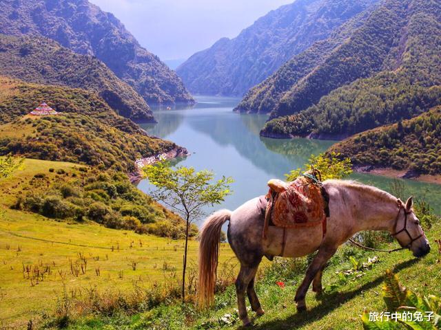 玛曲|甘肃小县城居然以黄河为名，母亲河在这里倒流800里，景色绝美