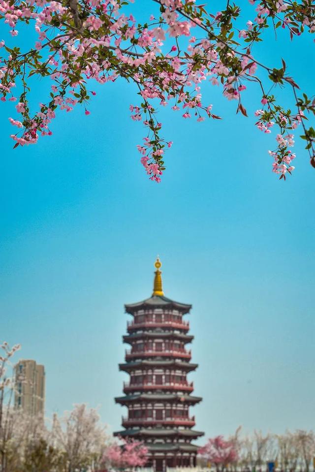 旅行▲4月最佳旅行地，五一小长假找个地方就近走一走