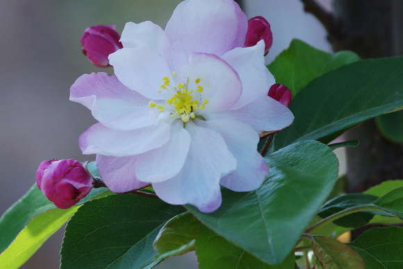 |到了8月份,4属相事业蒸蒸日上,财富滚滚而来,日子风生水起