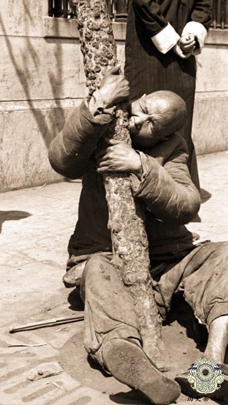 蒋介石▲1942年河南大饥荒老照片:图3正在啃树皮,蒋介石看完照片腿发抖