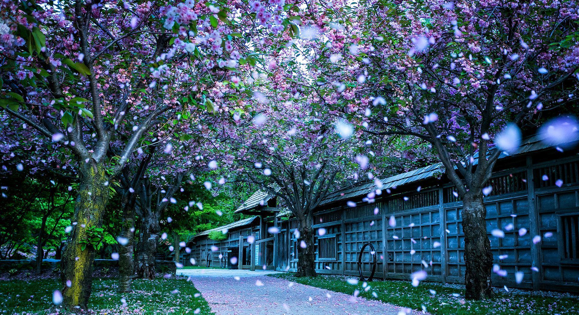 天蝎座|苦尽甘来三星座，7月了不得，8月惹不起，余生无人能比