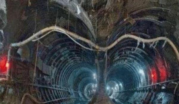 科学家@“地下方舟”被发现，长达4000公里，内有无数珍宝，至今无法解释