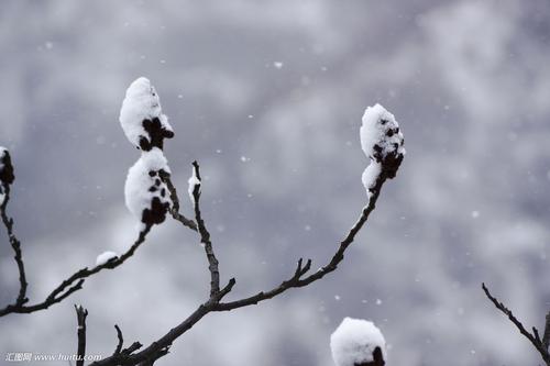 |柳宗元这首诗，虽然只有短短20字，却写出了孤独的最高境界