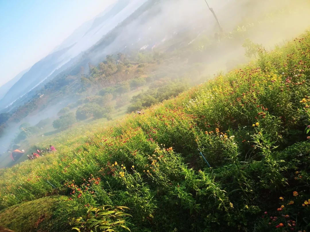 洛阳▲四月最佳旅行地|这9个地方玩转整个春天！