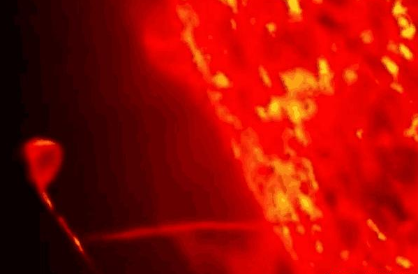 拍到不明物体吸取太阳能量,NASA吓到结巴:那个巨大UFO又回来了