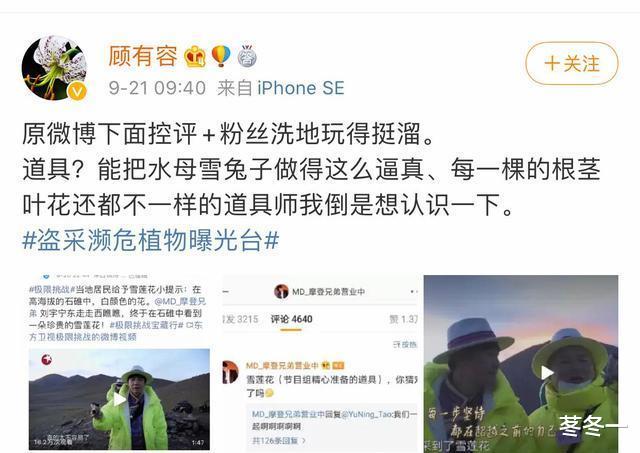 刘宇宁|刘宇宁都把“雪莲花”连根拔起了，你说你们这只是“道具”？