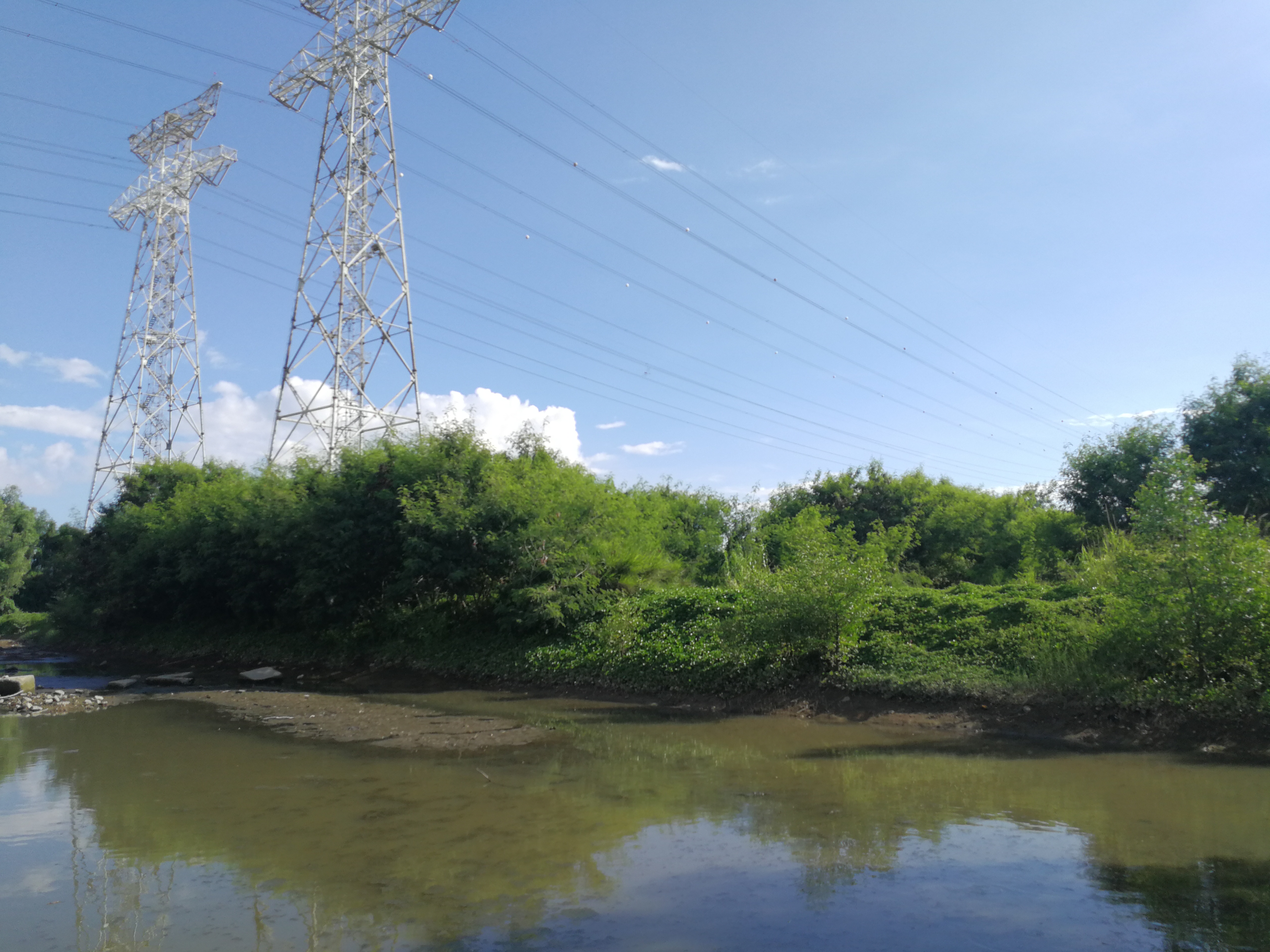 饵料|听说过钓鱼的今天看到钓螃蟹的了