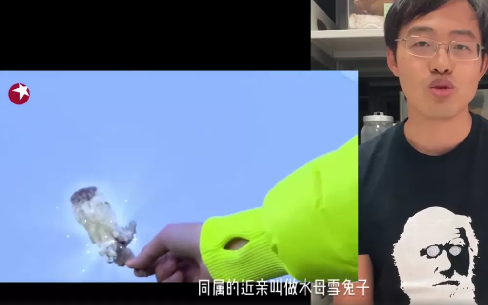 你好吴所畏|“中国最蠢的一群人”,都在这里了