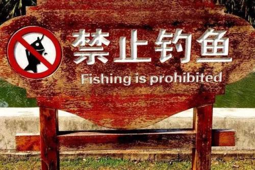 「」为何“泥鳅党”不受钓鱼人的待见！