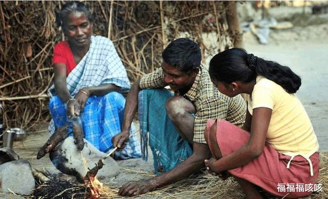 印度|粮食产量仅为中国一半，印度为何能一年出口1200万吨稻米？