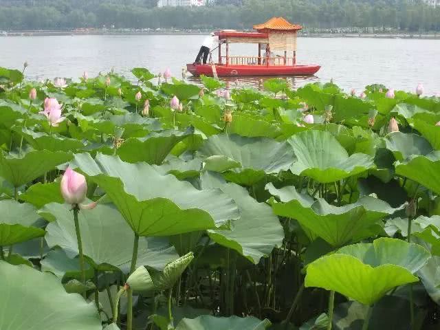 『运势』4月底时来运转、财如雨下，4生肖中头奖，发横财，用麻袋装大钱