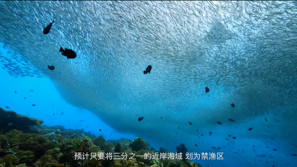 豆瓣|豆瓣9.4分，却只有两千人看过：这部纪录片，我不敢看第二遍…
