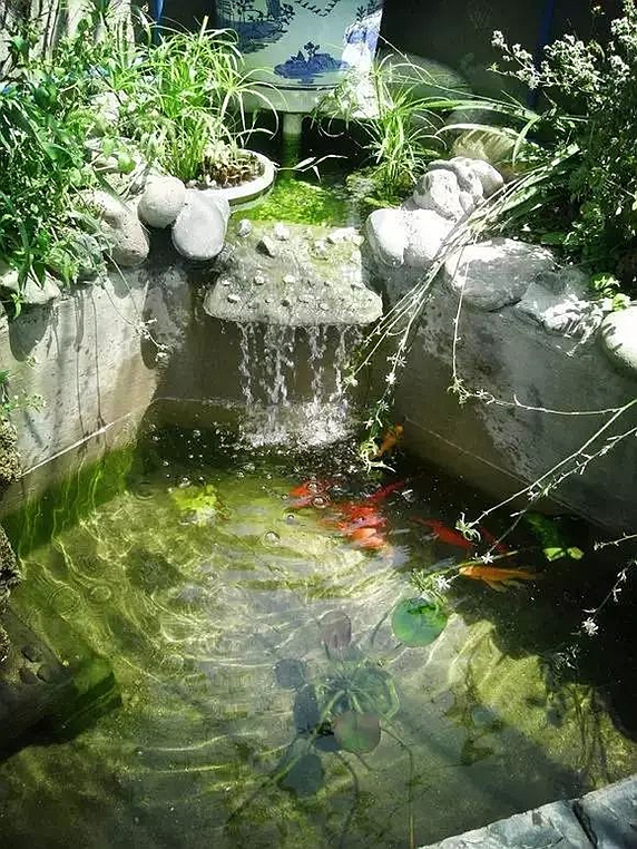 「」等我买第二套房，阳台绝对不放洗衣机，也学别人这样做，太有才了