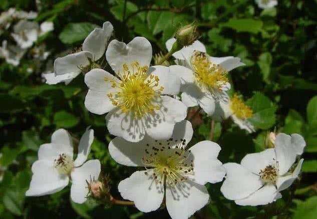 生肖|9月财神庇佑，财运升温，喜事一连串的四大生肖