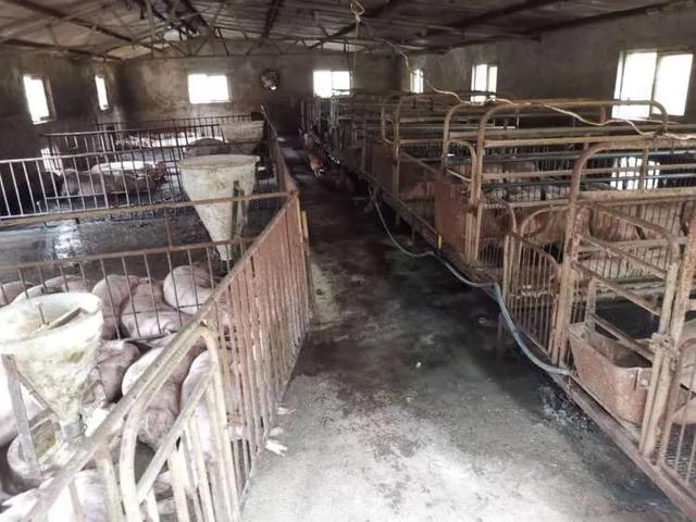 山东商报|悲剧！青岛一对母子触电身亡，儿子刚刚20岁，还没拿到毕业证…