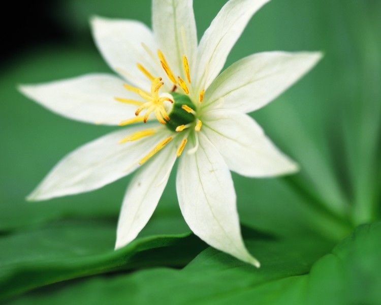 生肖|9月30号开始，好运惹不起，收获贵人支持，事业步步高升的生肖！