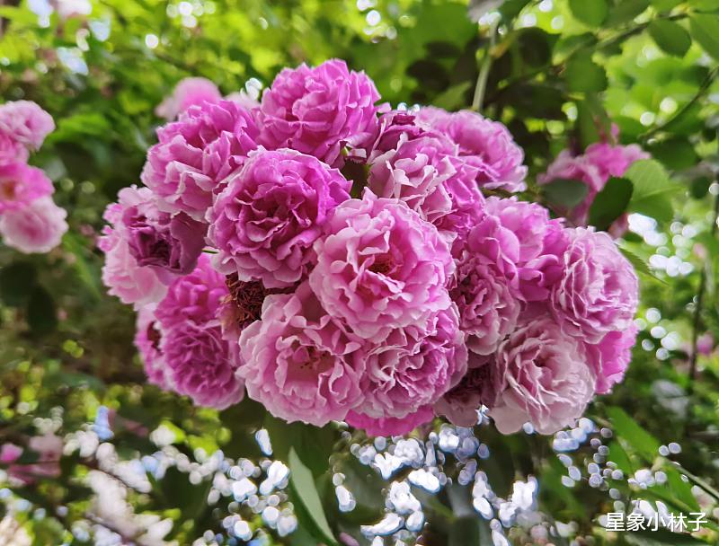 水星|10月中旬，置业成功，阖家欢乐，需注意身体健康的星座