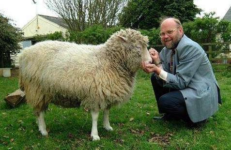 基因|20年多前就已有克隆羊，为何不克隆人类？看那只羊的下场就懂了