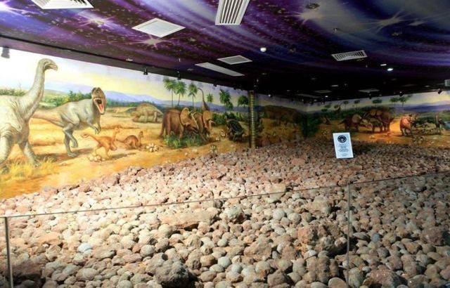 恐龙蛋化石|广东再一次震动世界？河源发现一万七千多枚恐龙蛋化石，举世瞩目