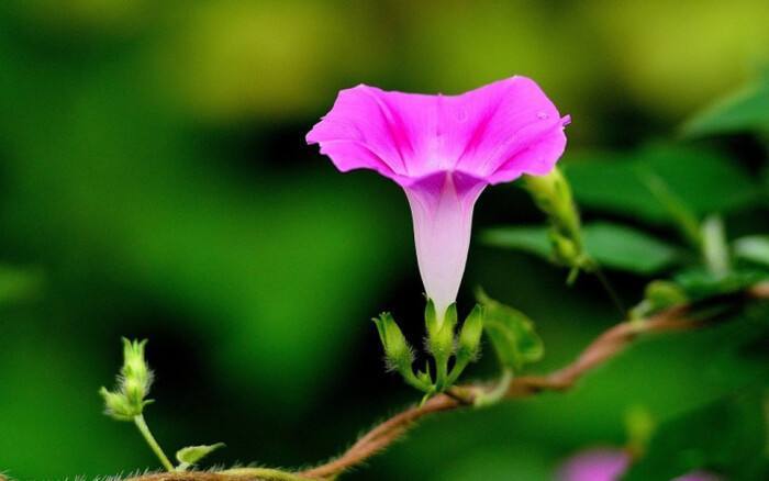 处女座|提到这些星座，下半年运势会非常好，来看看有没有你